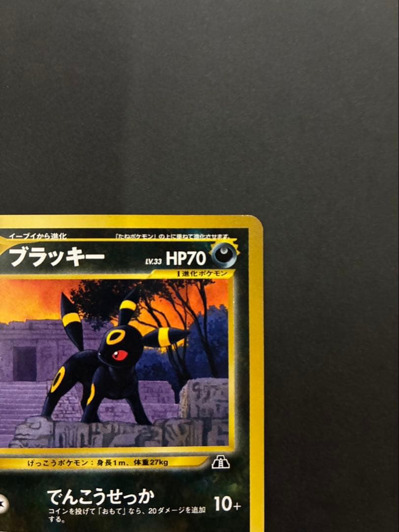 ポケモンカード ブラッキー 旧裏 プレミアムファイル2