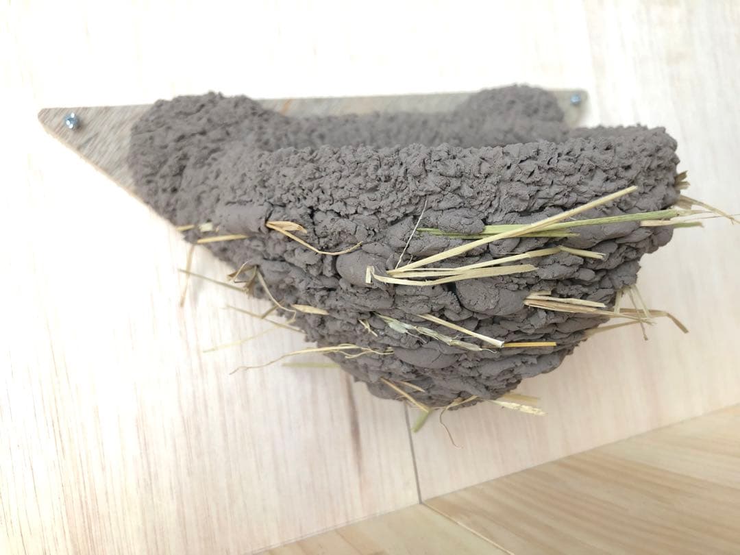 ツバメの人工巣　壁付け用タイプ板貼り付き　新品・未使用品　　g26-8