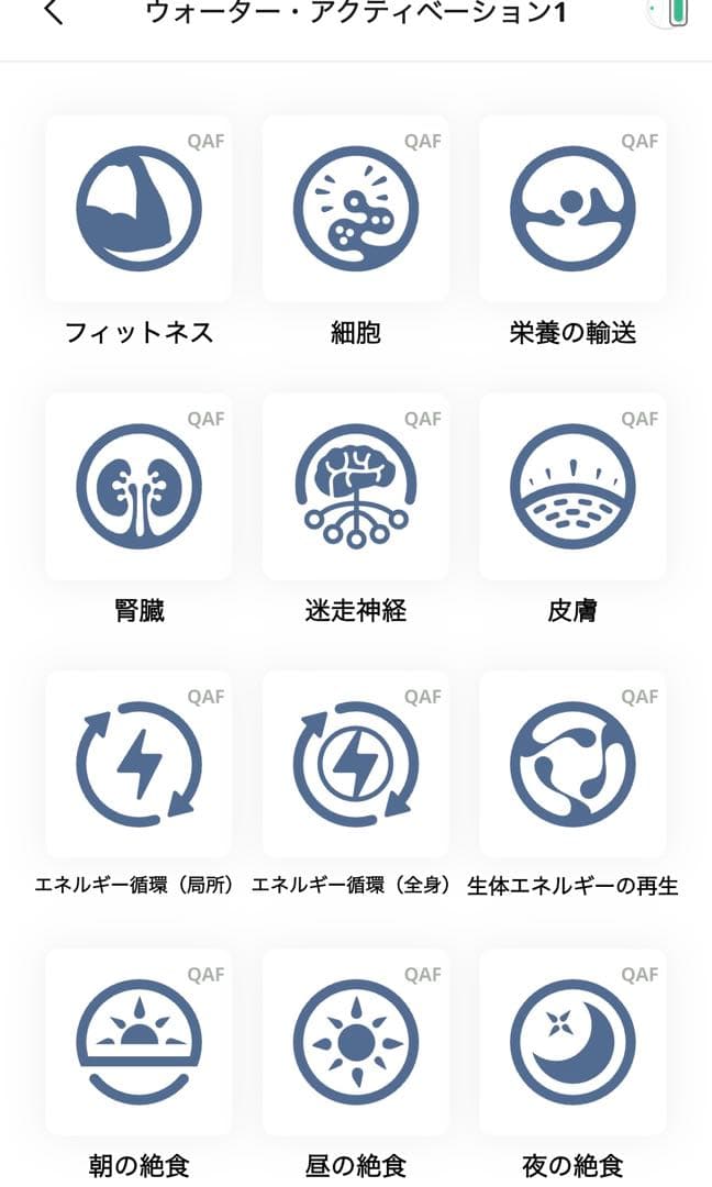 【新品未使用】マグヒーリー・プロフェッショナル　経路モジュール付き　保証あり