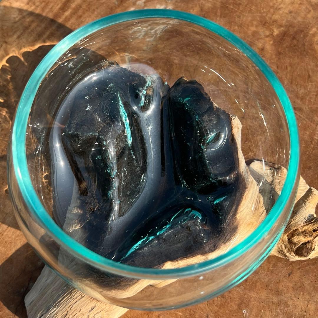 流木ガラスオブジェB15B 花瓶 金魚鉢 ガーデニング テラリウム 観賞魚 容器