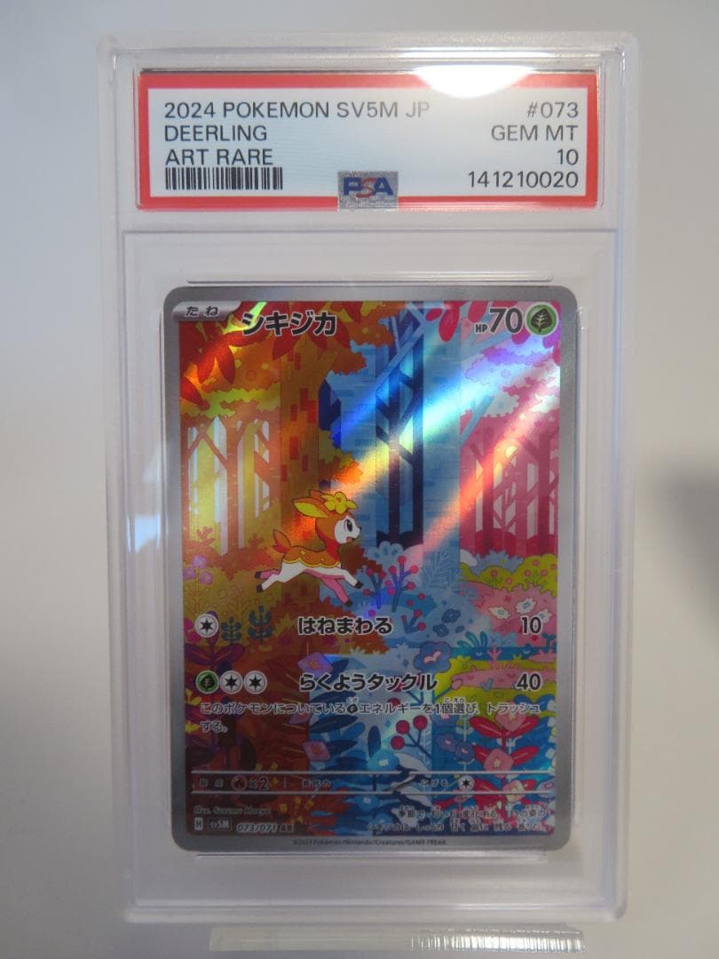 PSA10 連番　シキジカ　メブキジカ　AR