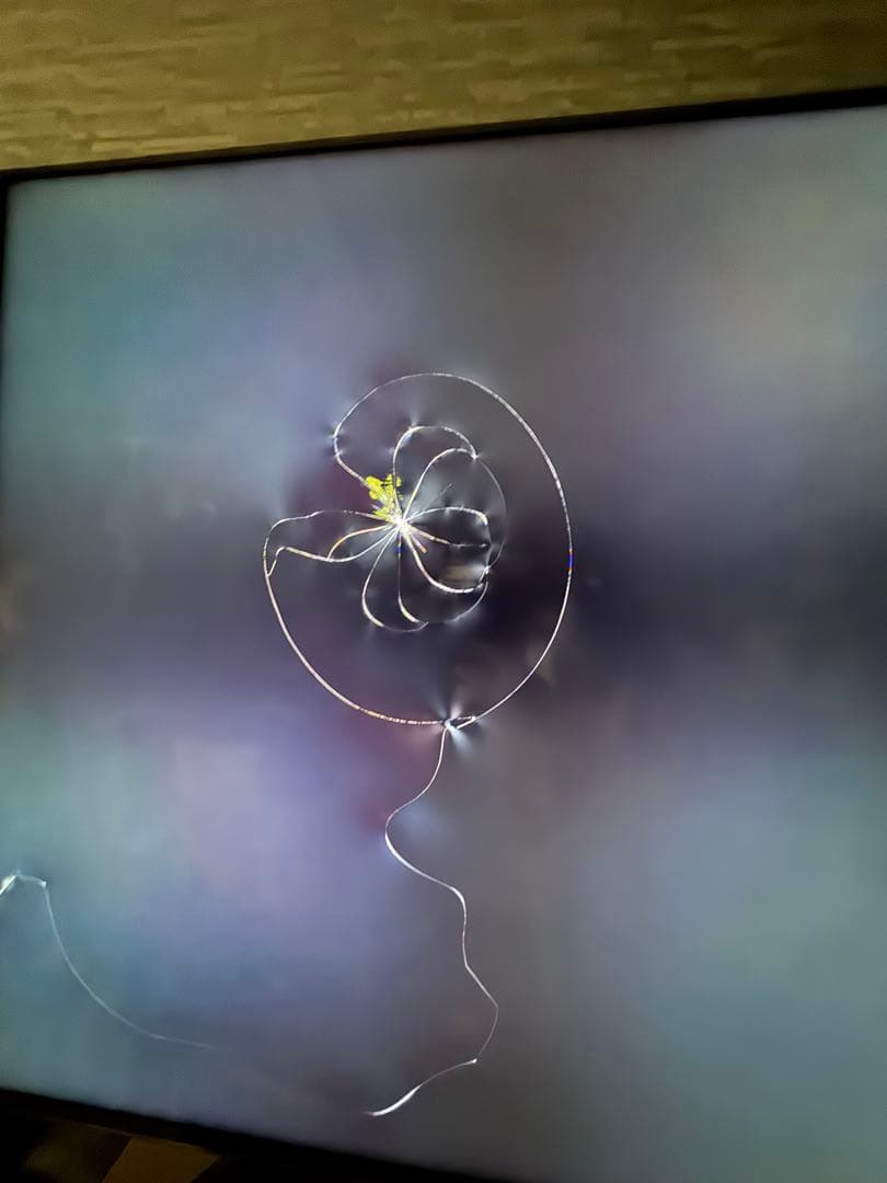 【ジャンク品】SONY BRAVIA 液晶テレビ