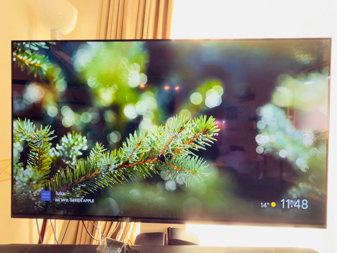 47万★美品】SONY BRAVIA XRJ-55A80J 4K有機ELテレビ