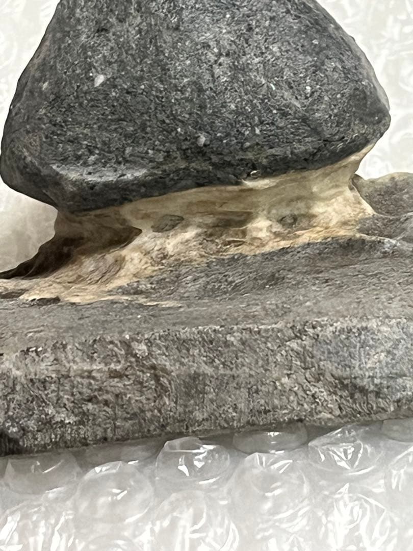 芽舎石　水石　観賞石　盆栽添