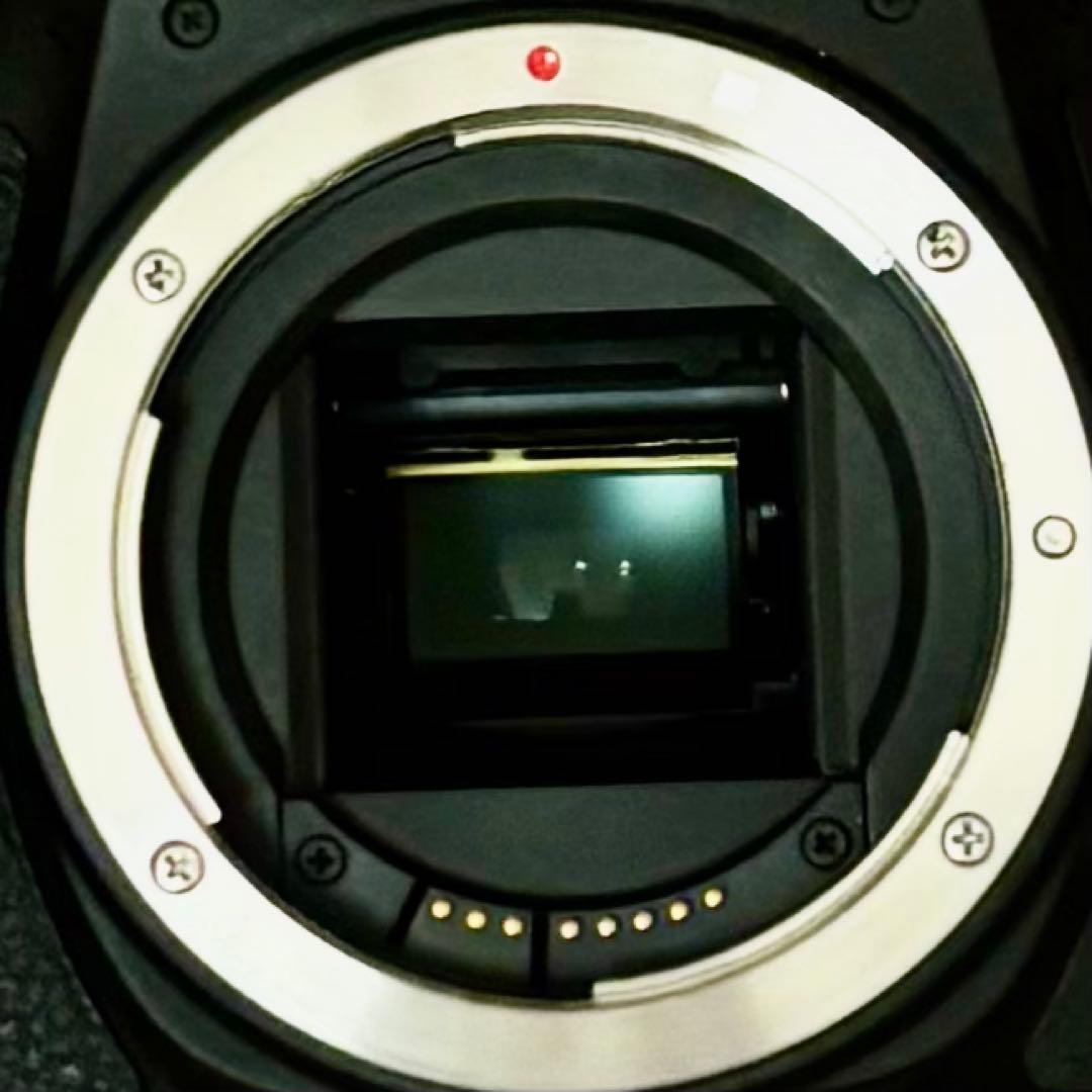 Canon EOS Kiss X8i 動作確認済 一眼レフ