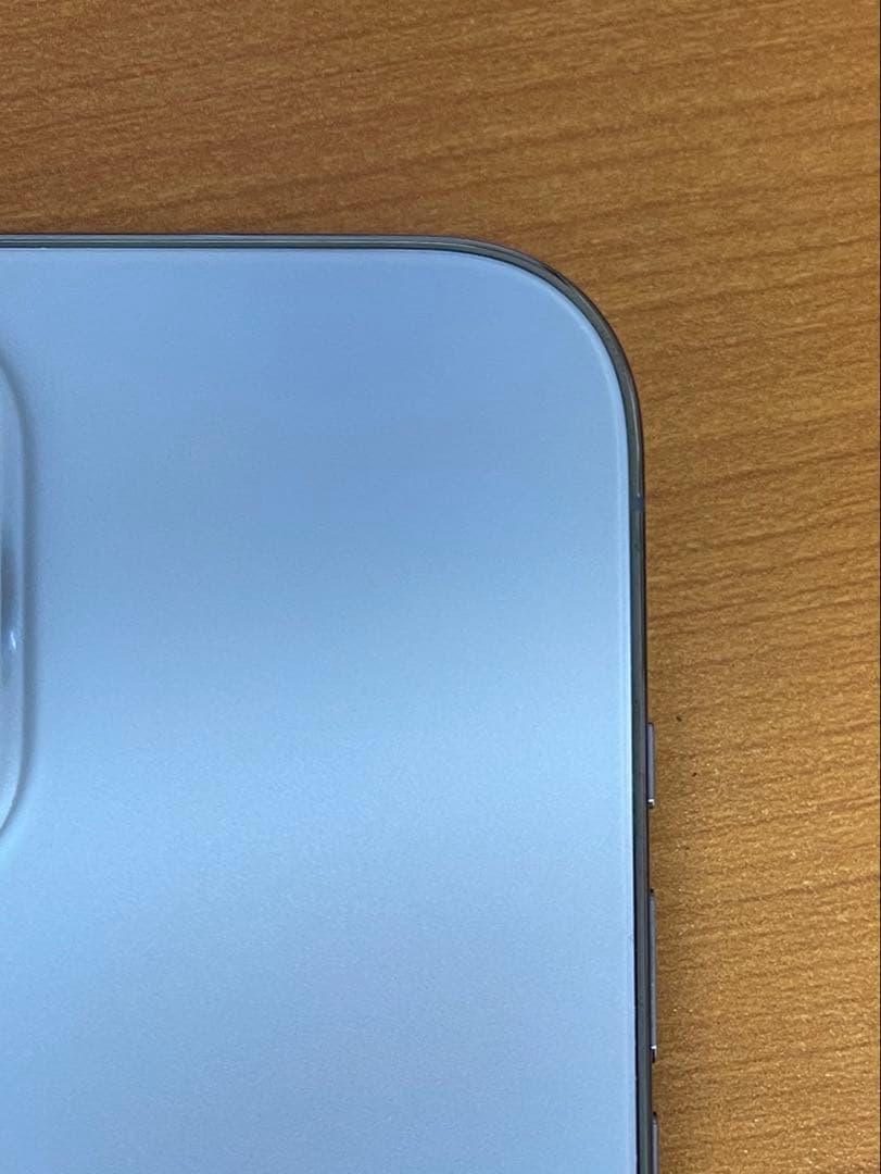 和*樹様 動作確認済み iPhone 13 Pro Max 256GB ID:Y