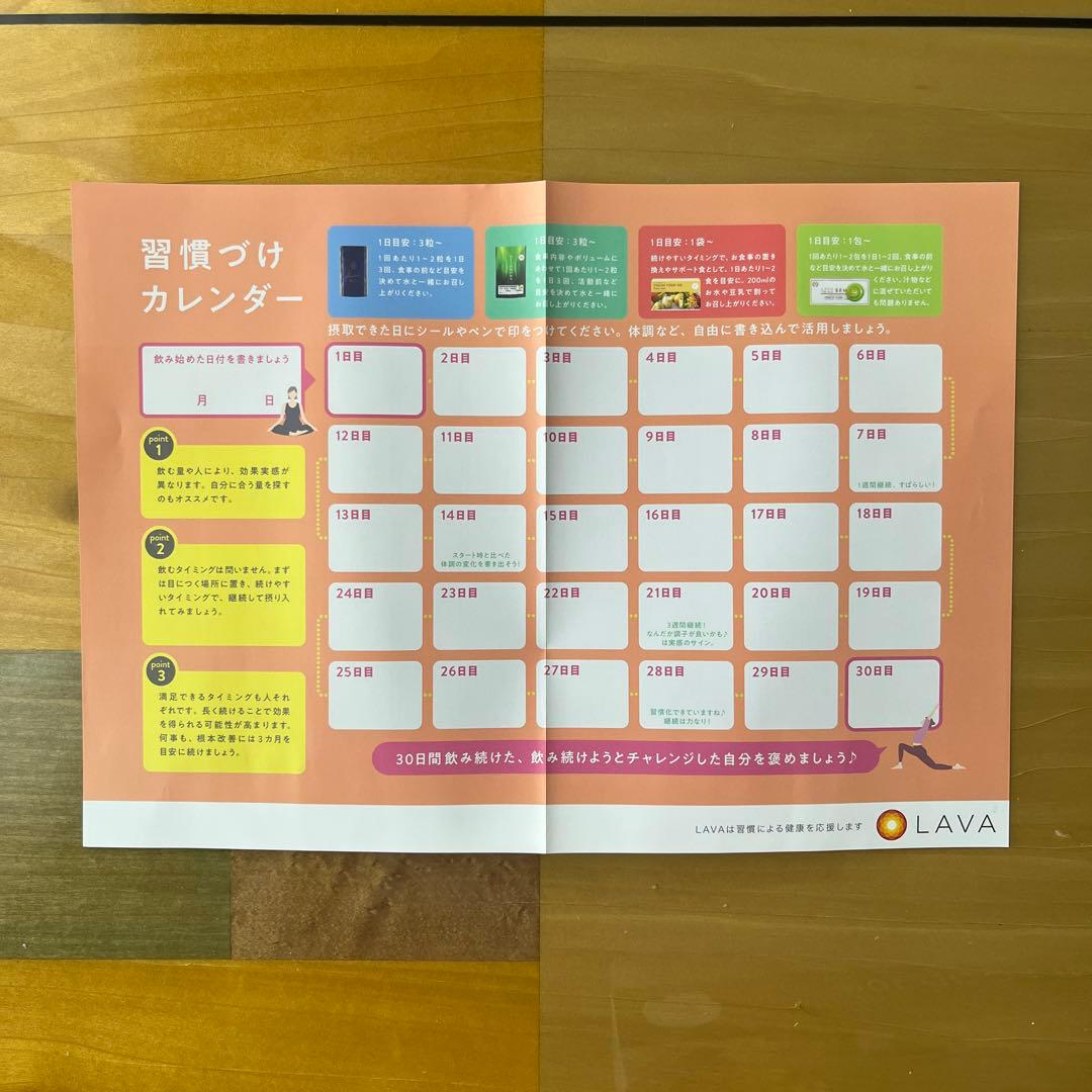ラバヨギーニフード100 cacao 20袋