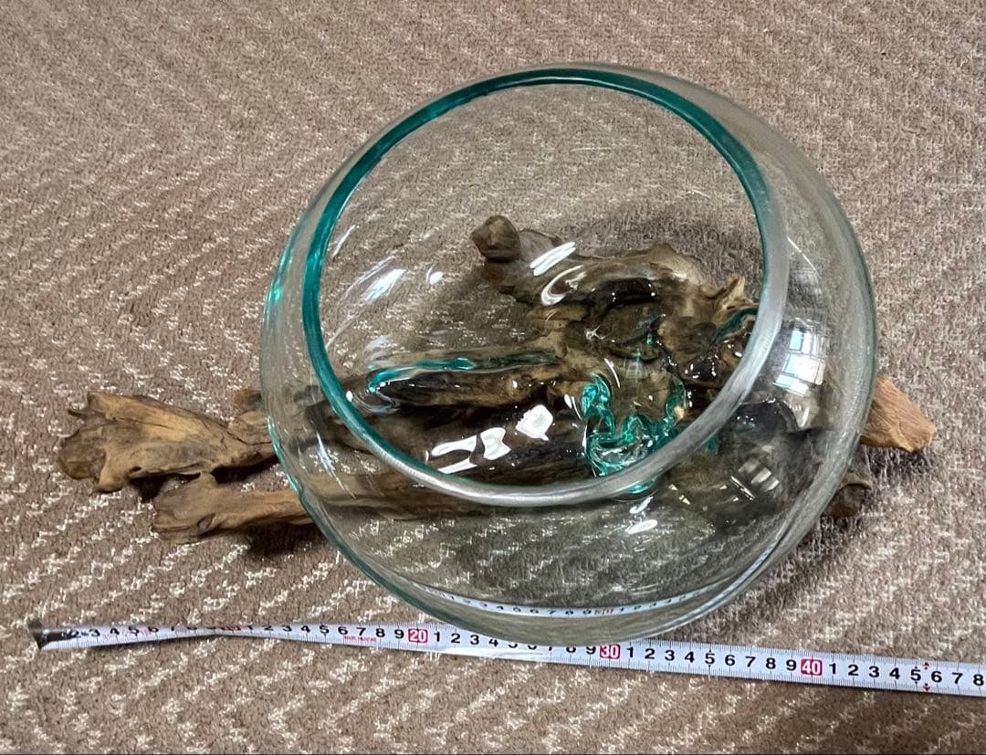 流木グラス　流木ガラス　流木ガラス水槽