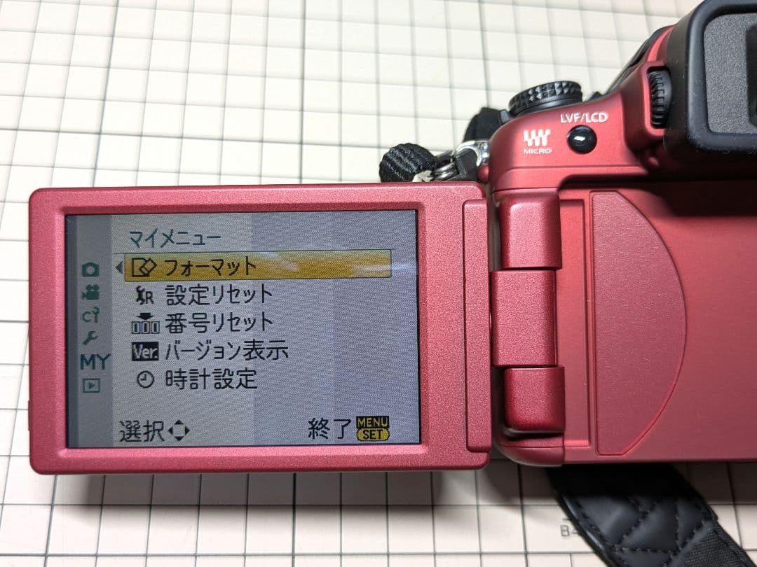 Panasonic LUMIX G2 レッドボディ 動作良好 ミラーレス一眼