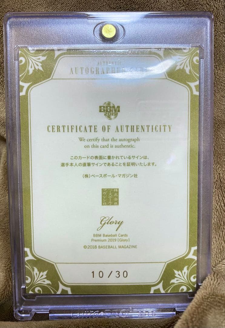 【2019 BBM glory】阪神 大山悠輔 直筆サインカード
