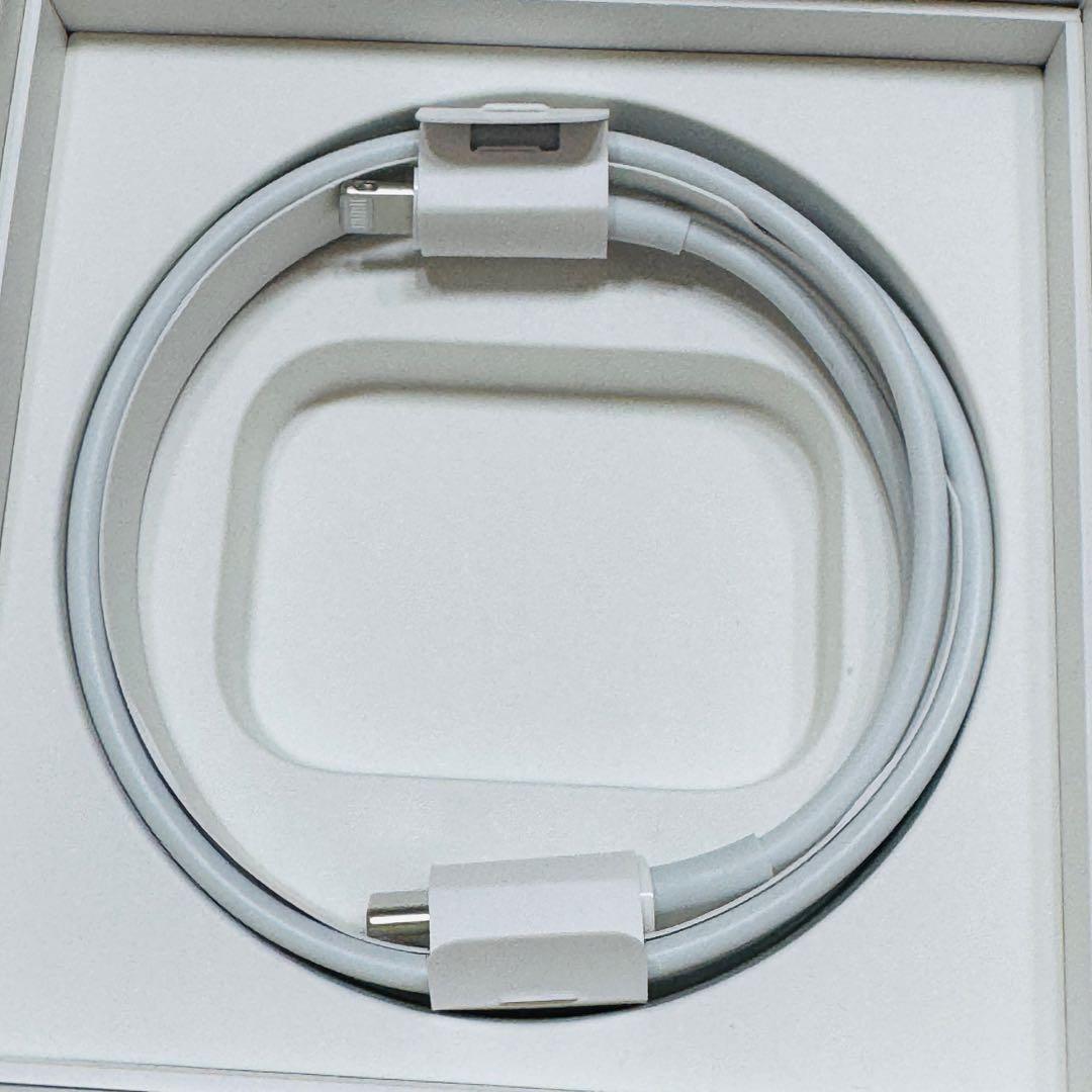 Apple AirPods Pro 第2世代 Lightning 箱付動作確認済