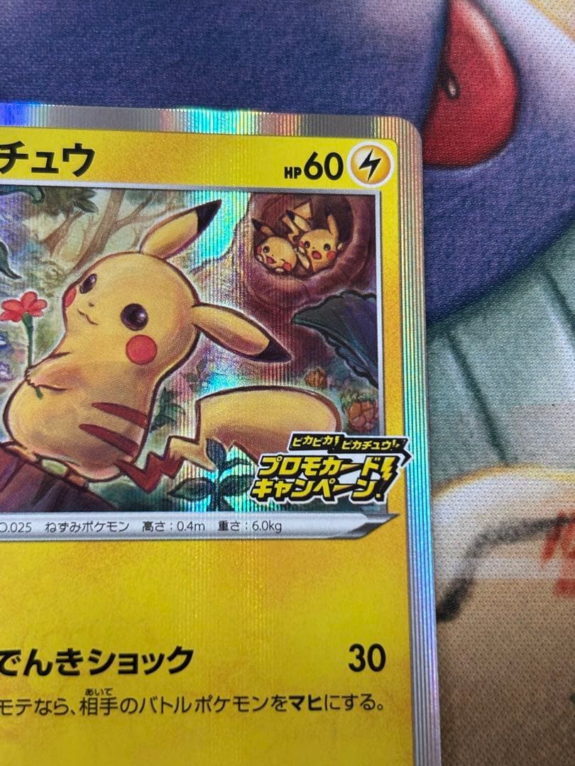 ポケモンカード　ピカチュウ　ピカピカプロモキャンペーン　メス
