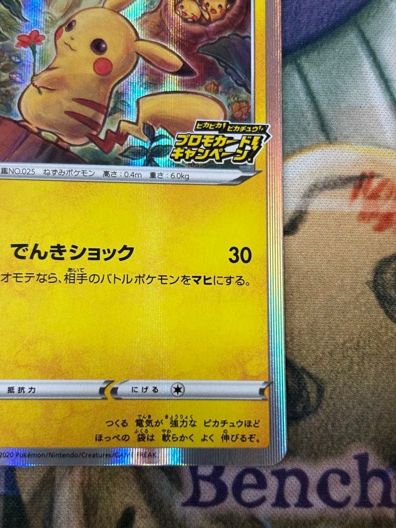 ポケモンカード　ピカチュウ　ピカピカプロモキャンペーン　メス