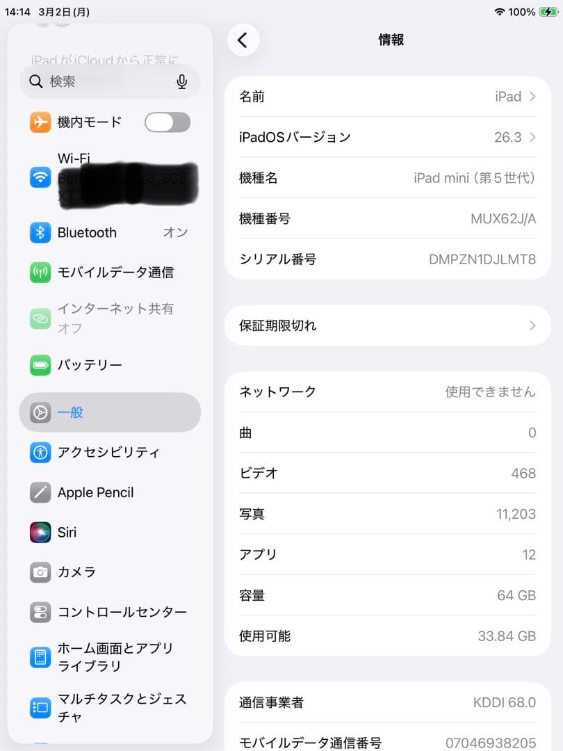 Apple iPad mini5 Wi-Fi+Cell/au 64GB 箱有