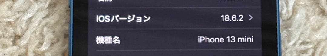 iPhone13mini ブルー