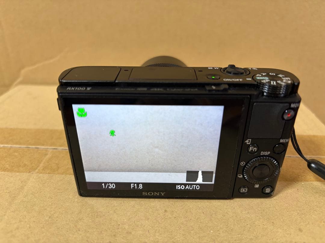 SONY サイバーショット DSC-RX100M5A 極上美品