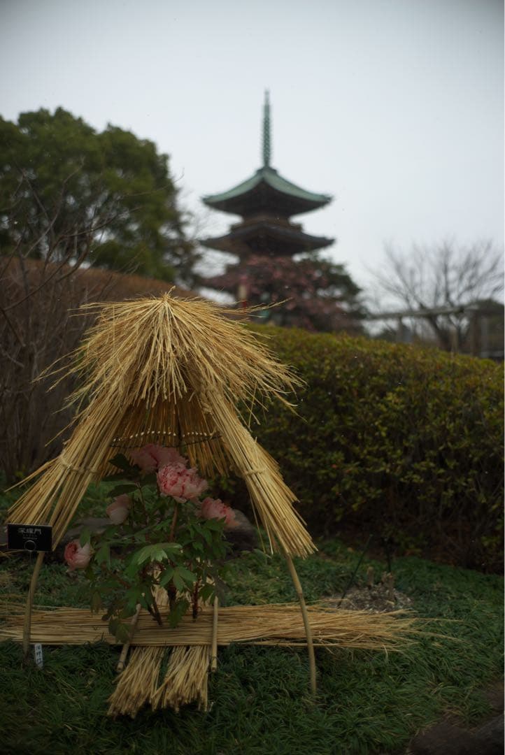 最終値下 Leica M 240 付属多数
