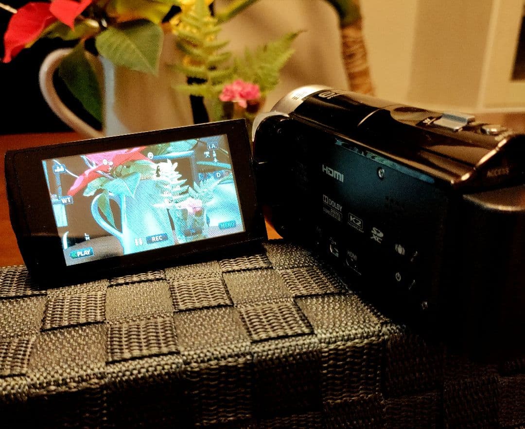 n*u様 JVC ビデオカメラ　GZ-E565-T 　追加バッテリー、SDカード