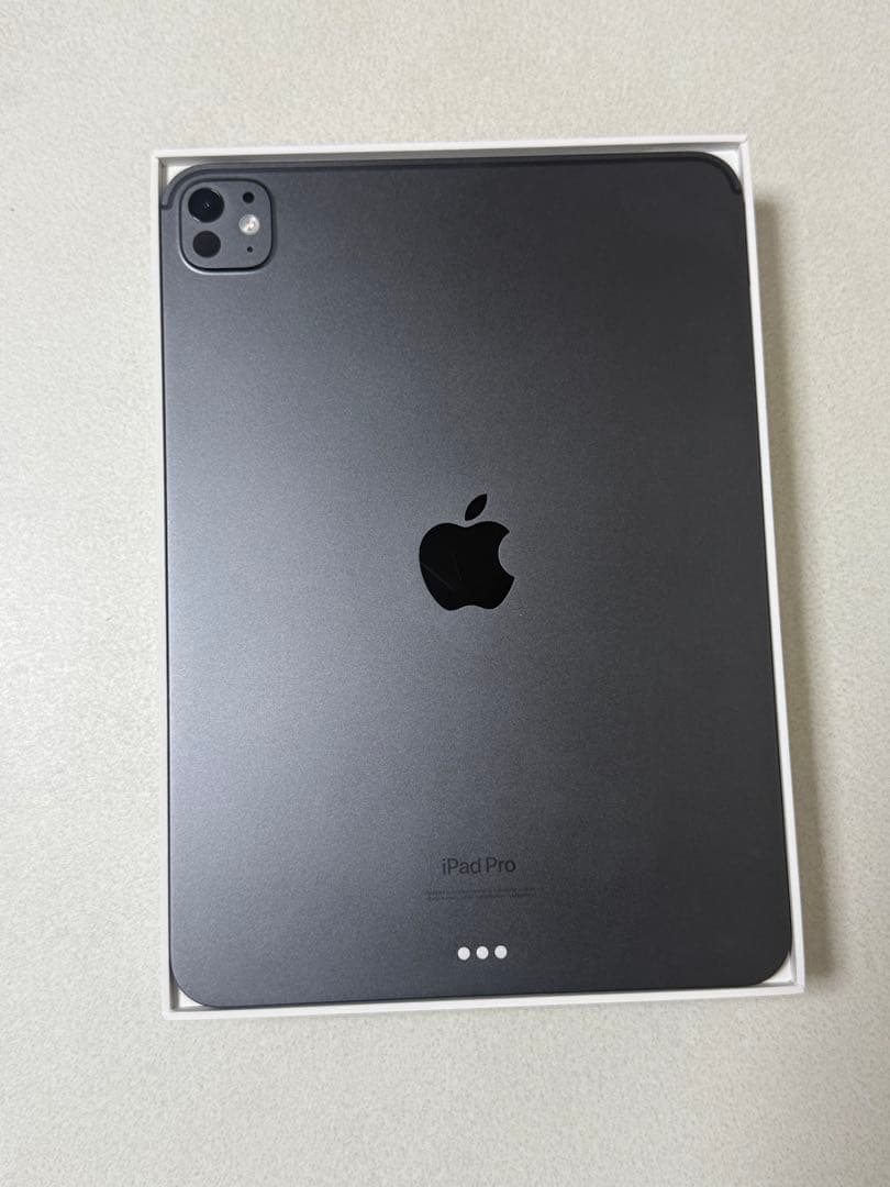 Apple iPad Pro 11インチM4 本体