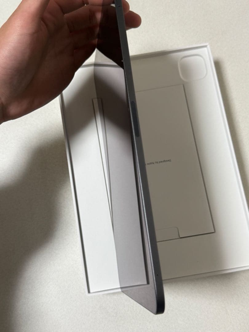 Apple iPad Pro 11インチM4 本体