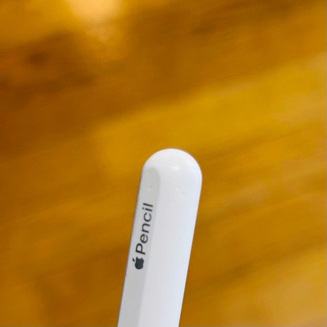 Apple Pencil 第2世代 動作確認済み