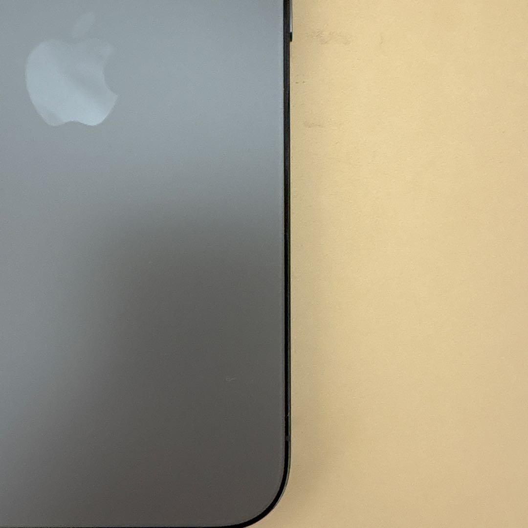 正規品Apple iPhone 13 Pro 本体 iFaceケース付き