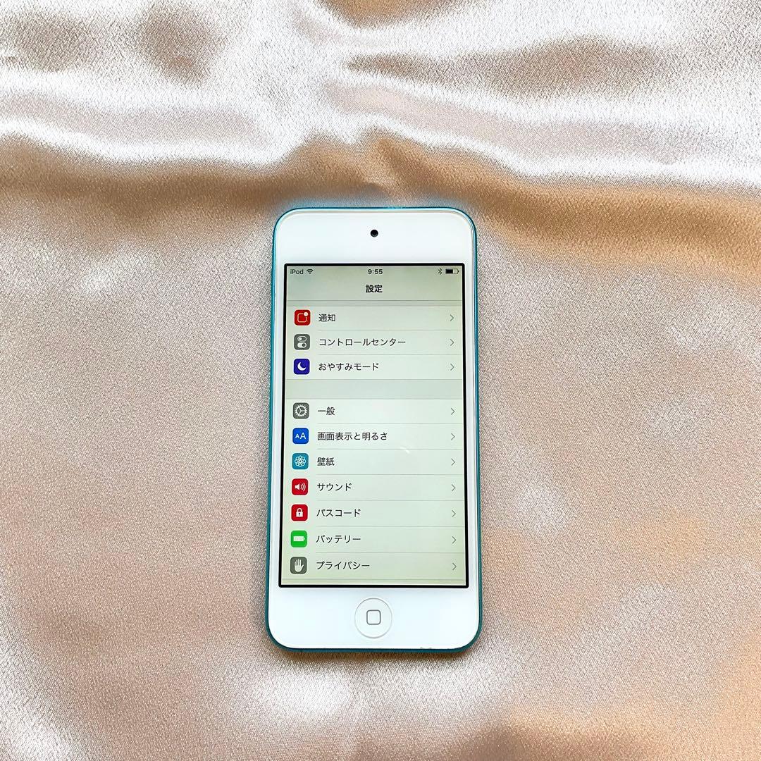 ブルー iPod touch 第5世代 64GB アイポッド Apple本体 m