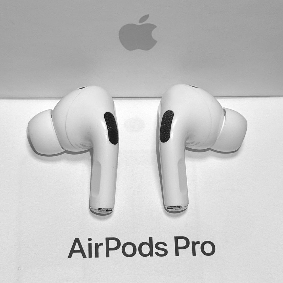 【綺麗】Apple AirPods Pro 第2世代 USB-C イヤホンのみ
