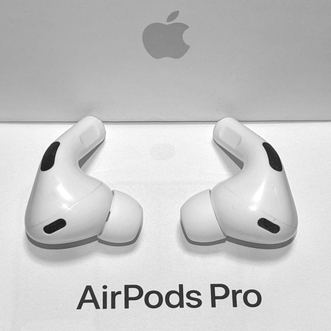 【綺麗】Apple AirPods Pro 第2世代 USB-C イヤホンのみ