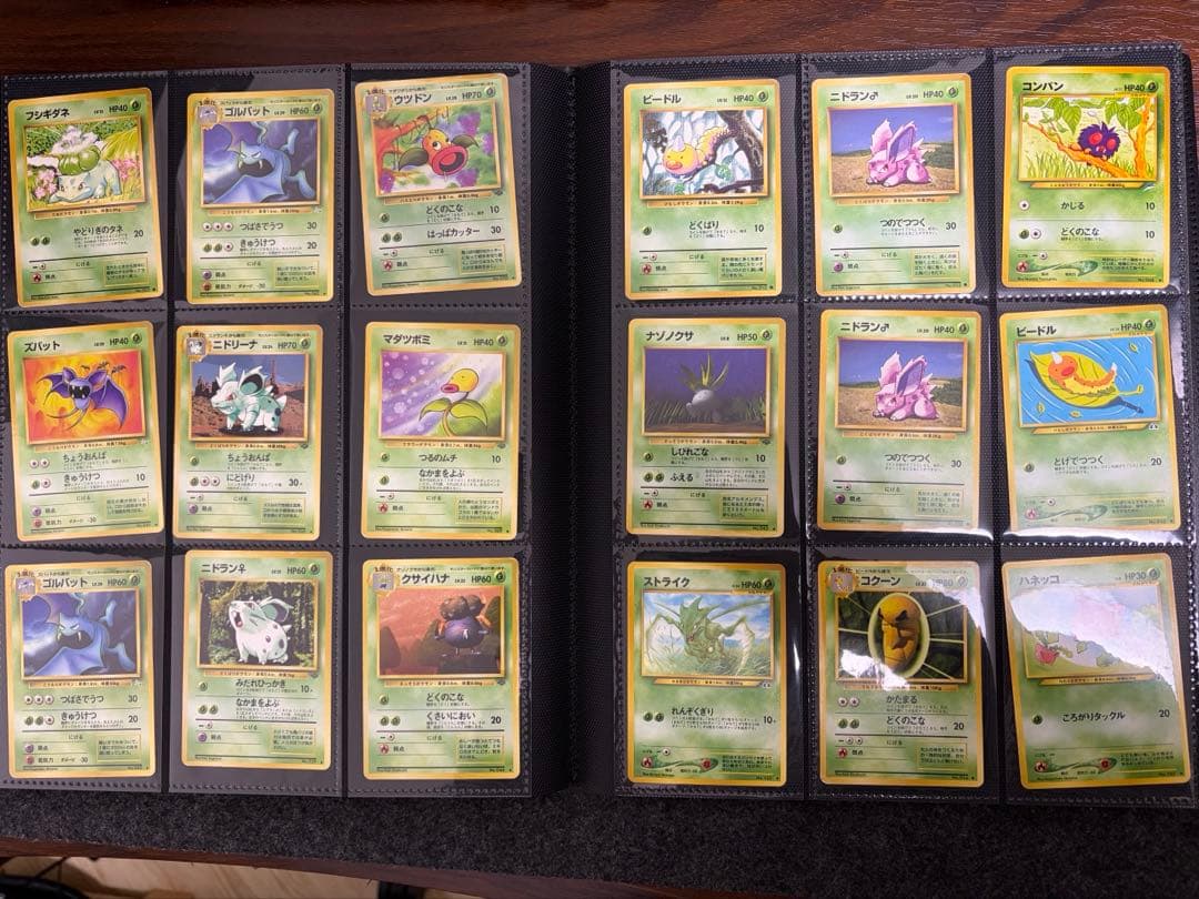 【ワンオーナー・暗所保管】ポケモンカード 旧裏面 ファイルまとめ売り 引退品
