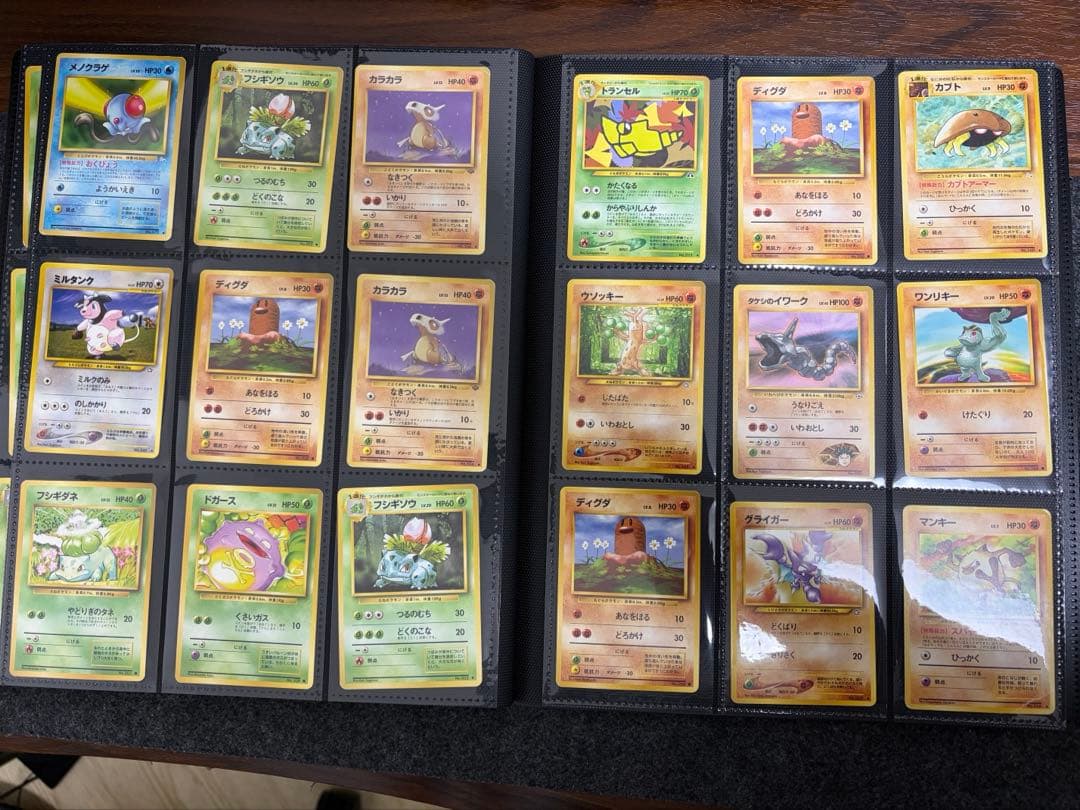 【ワンオーナー・暗所保管】ポケモンカード 旧裏面 ファイルまとめ売り 引退品