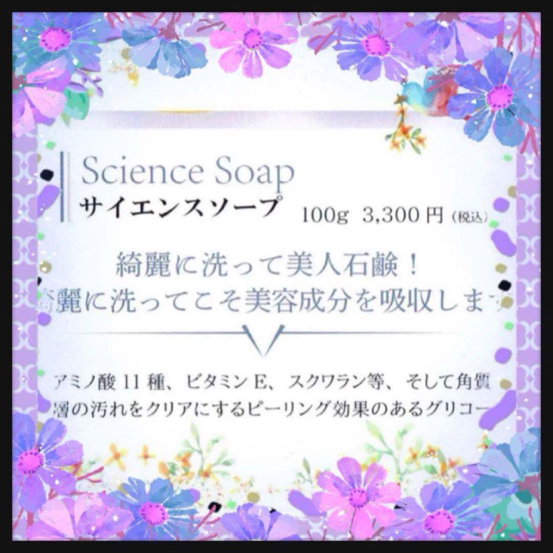 ヒロコサイエンスソープ2個セット【ナノプラチナコロイド（高配合）】