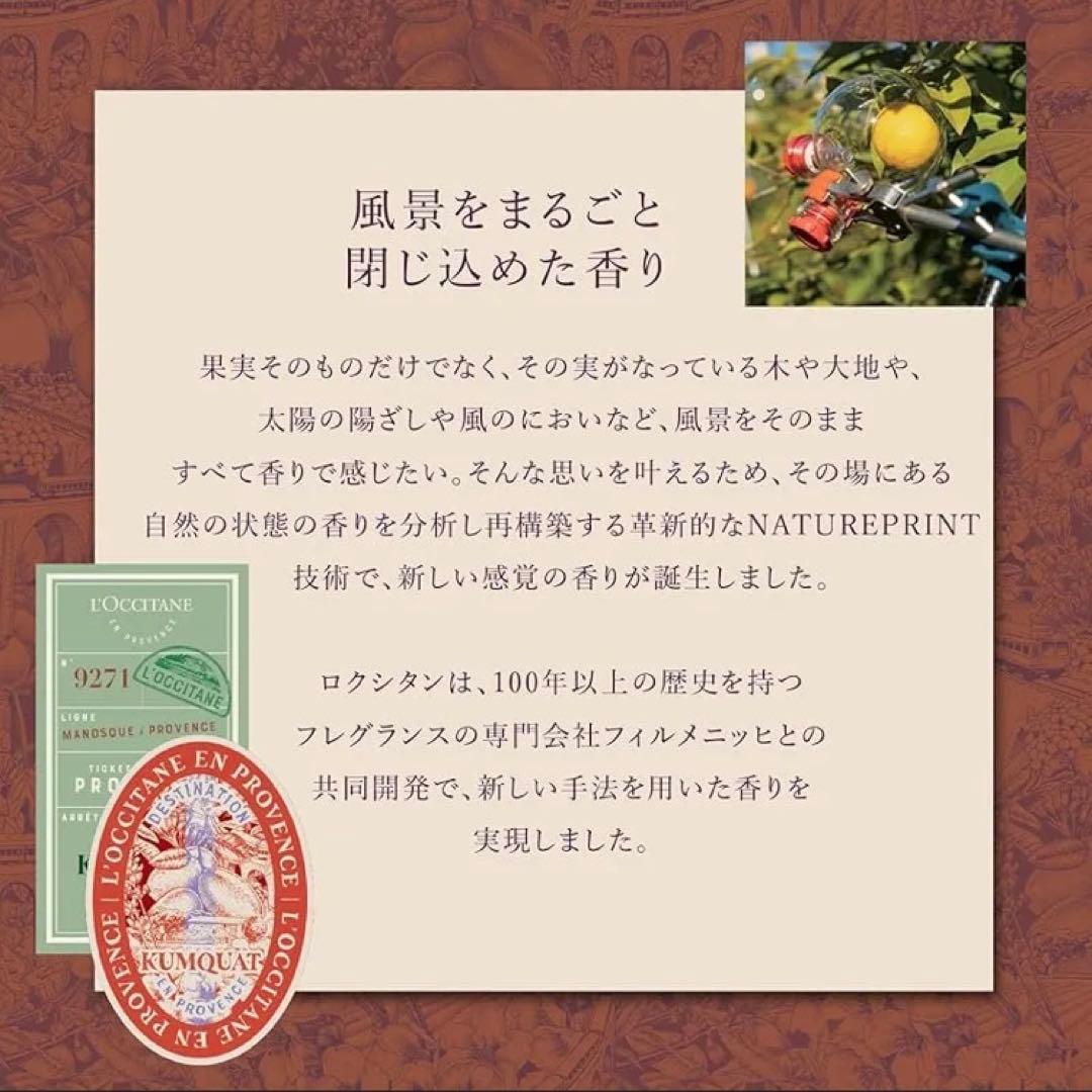 新品 L'OCCITANE KUMQUAT ボディクリーム ネイルオイル 限定版