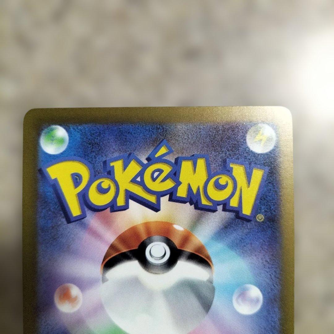 ゼニガメ