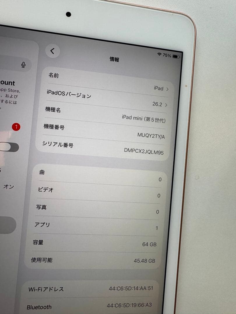 【バッテリー100% 】【超美品】iPad mini 5 ゴールド 64GB