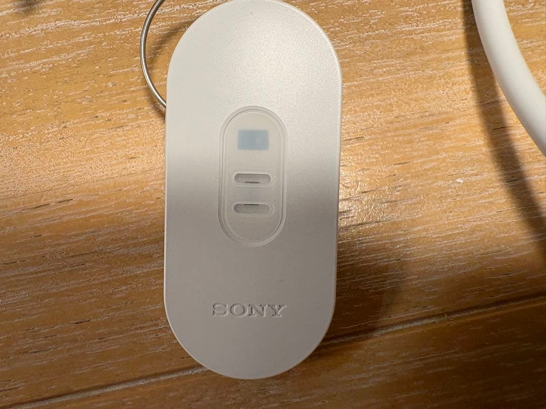 SONY REON POCKET 5 ネッククーラー