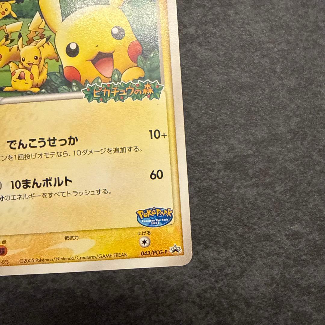 ポケカ　ポケパークのピカチュウ　プロモ