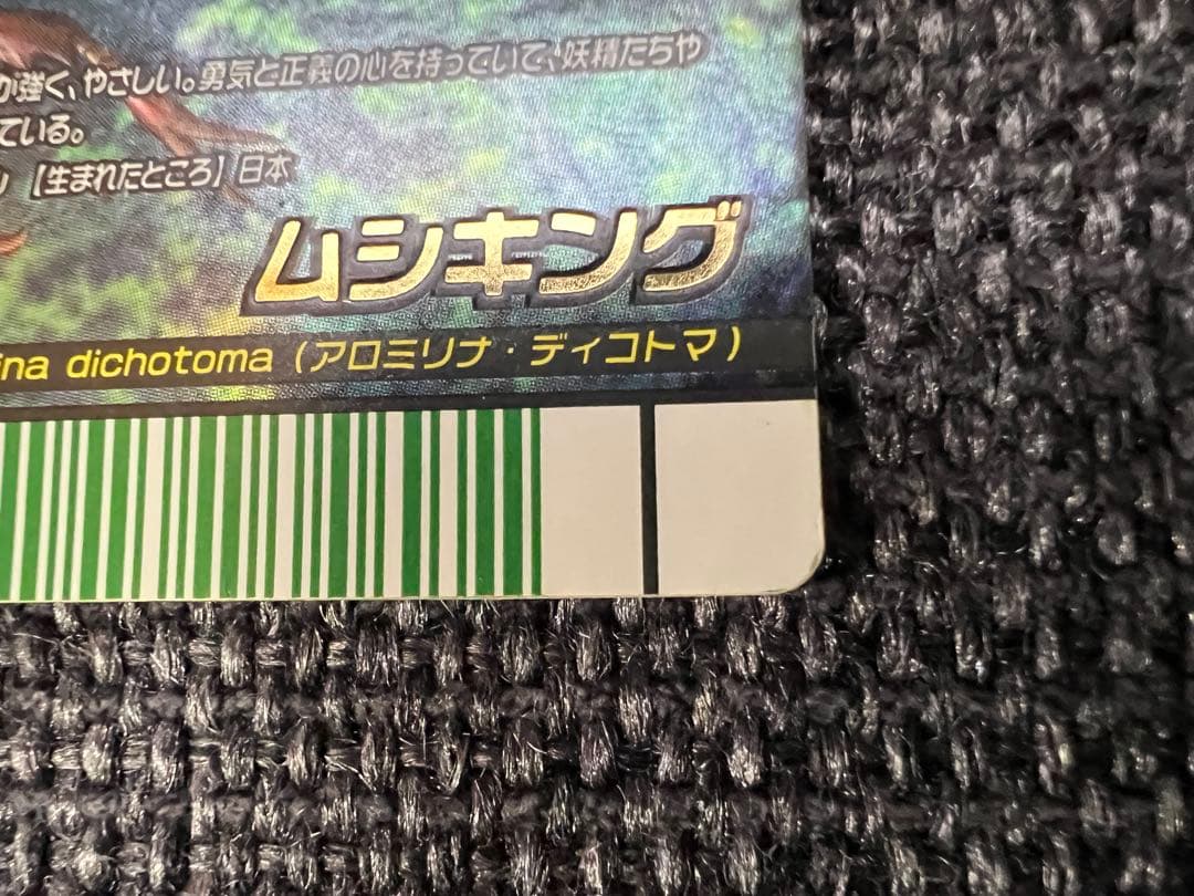 2008夏レインボー 甲虫王者ムシキング MC000 トレーディングカード