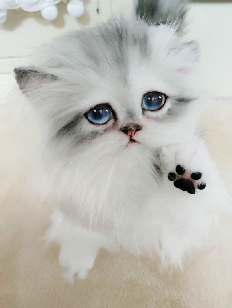 チンチラシルバー子猫ちゃん♡アイラインくっきり美人ちゃん♡アートドールぬいぐるみ