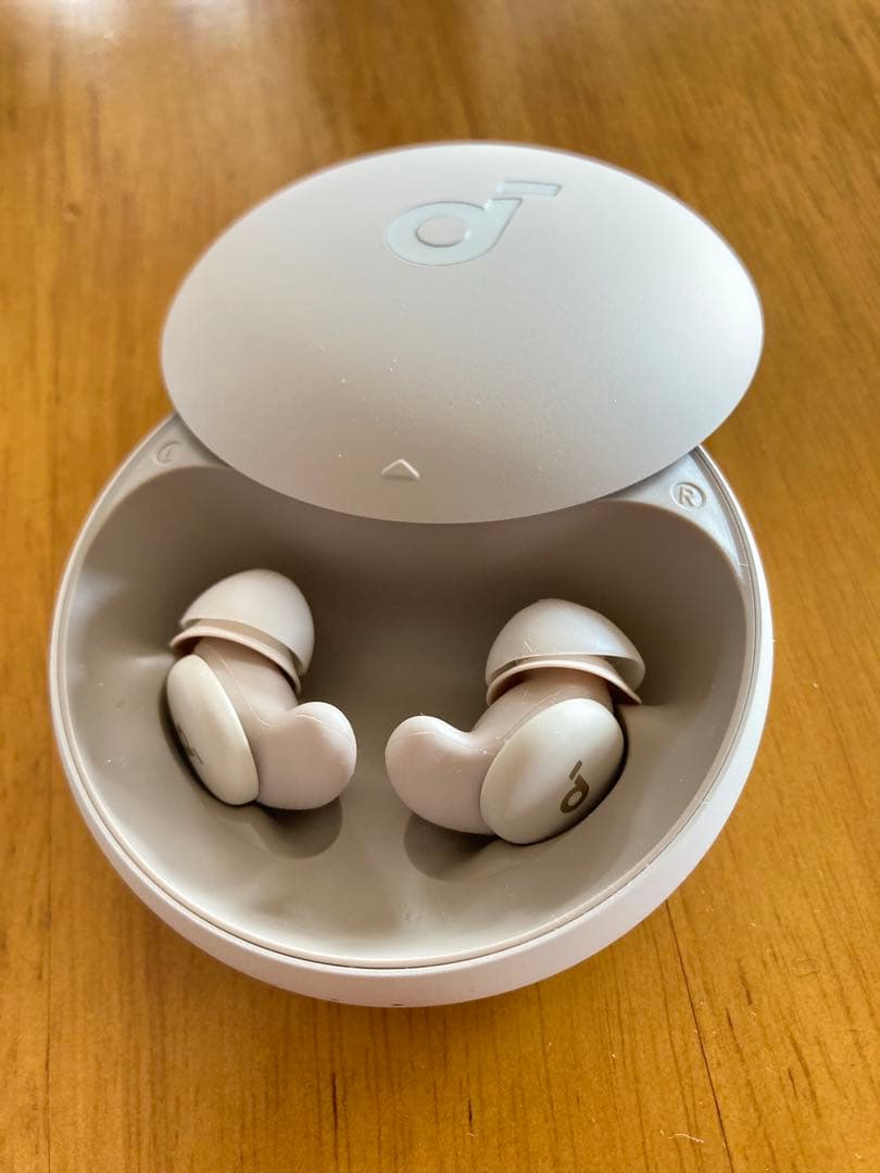 Anker soundcore Sleep A20【睡眠用イヤホン】