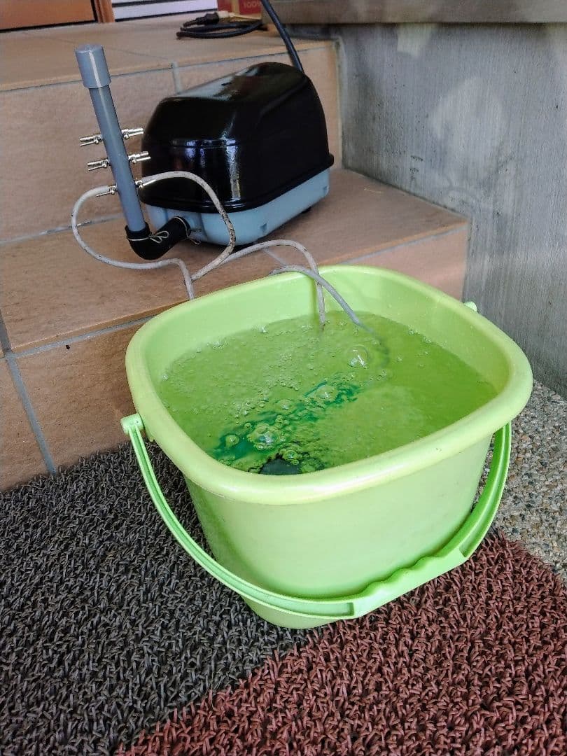 【大晃(SLL-40)40L】ダイアフラム　エアポンプ　ブロワー　浄化槽