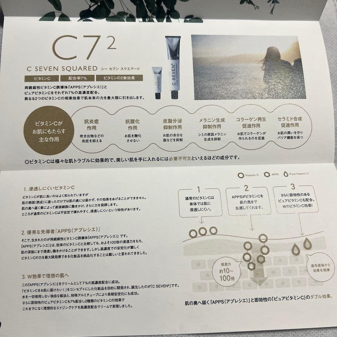【Qちゃん】シーセブンスクエアード C SEVEN SQUARED 20g