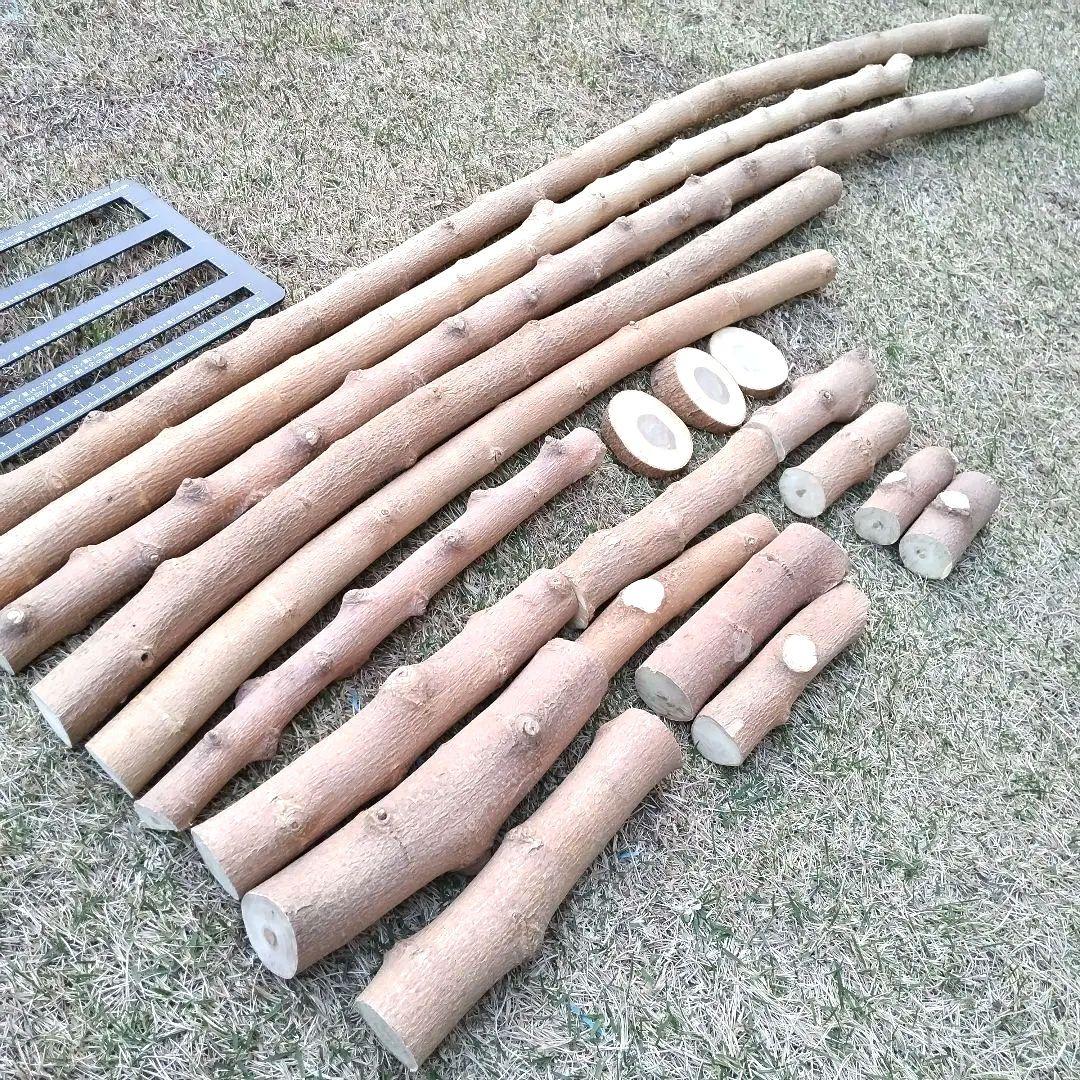 のんののん様ご注文 ご予約 天然無農薬 桑木製かじり木 極太枝 3~4㎝