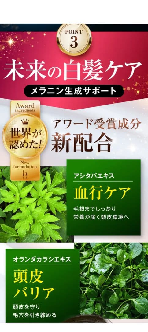 b ris カラーリングフォーム ライトブラウン 80g　3本セット