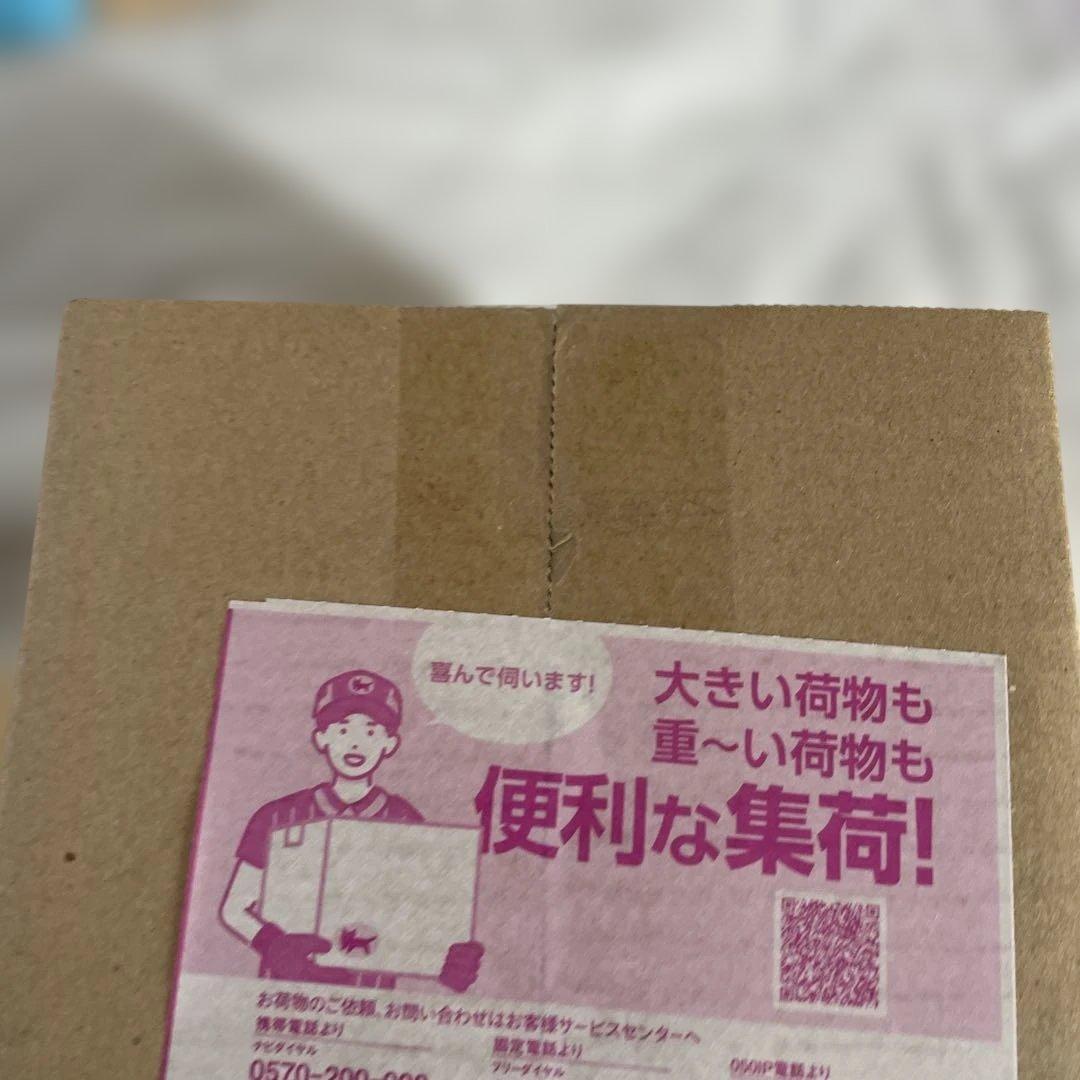 新品未開封 ポケモンセンター フクオカ スペシャルBOX １箱 ダンボール未開封