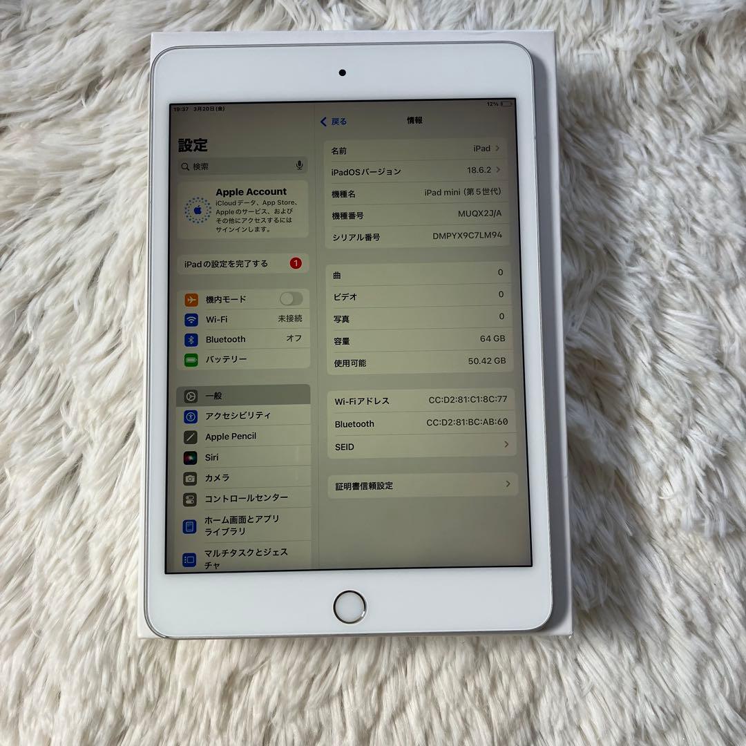【連休限定割】iPad mini5 64GB 【すぐ発送】【付属品】