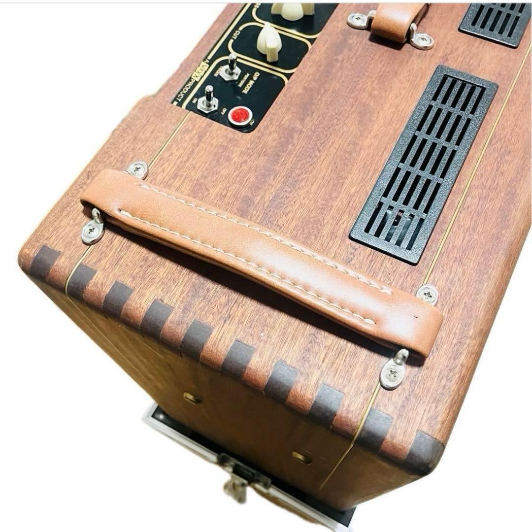 【専用ケース付き】Vox Heritage Collection AC30H2L