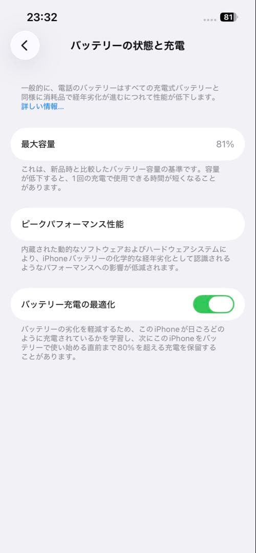Apple iPhone 13 Pro グラファイト 512GB ケース付き