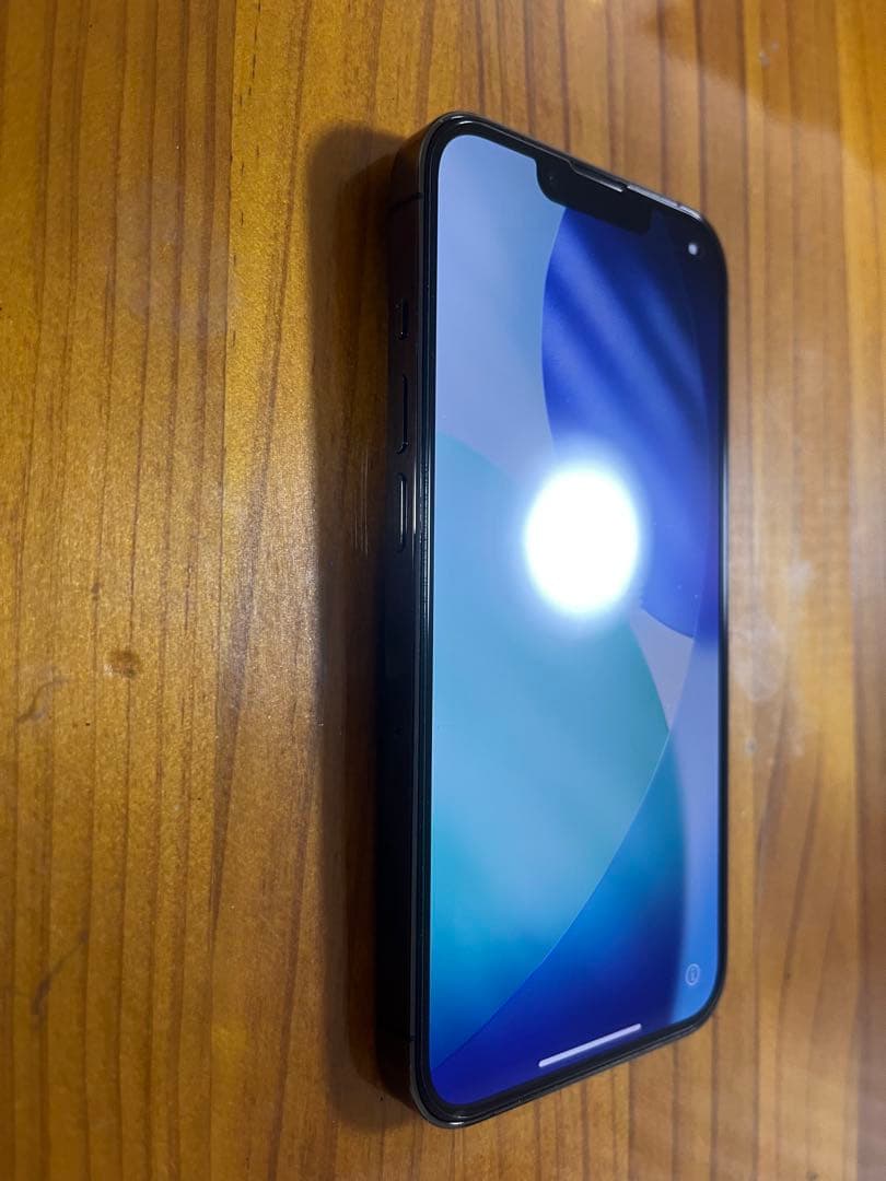 Apple iPhone 13 Pro グラファイト 512GB ケース付き