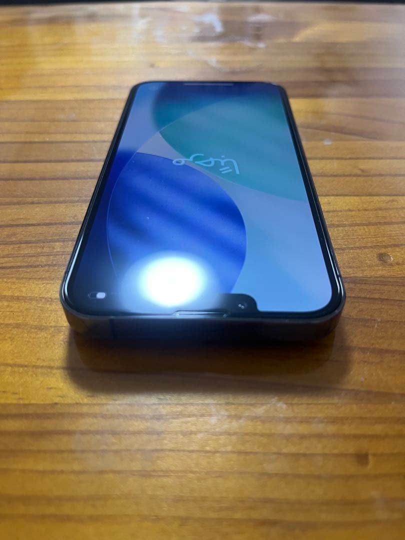 Apple iPhone 13 Pro グラファイト 512GB ケース付き